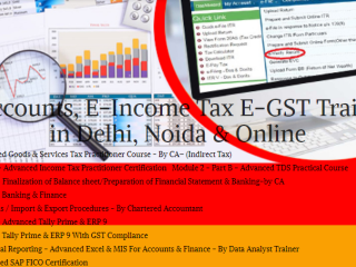 top-in-demand-accounting-jobs-in-2025-how-an-accounting-course-can-help-100-job-accounting-certification-course-in-delhi-110086-by-sla
