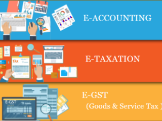 remote-work-global-opportunities-why-accounting-is-a-smart-choice-in-2025-100-job-accounting-course-in-delhi