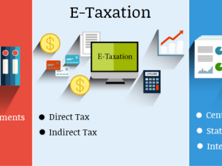 how-an-accounting-course-can-help-you-start-your-own-business-in-2025-100-job-accounting-certification-course-in-delhi
