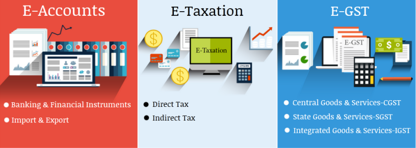 remote-work-global-opportunities-why-accounting-is-a-smart-choice-in-2025-100-job-best-accounting-course-in-delhi-big-0