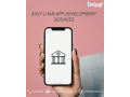 easy-loan-app-development-services-small-0