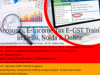 diploma-in-accounting-delhi-gst-and-custom-course-with-tally-prime-in-delhi-100-job-guarantee-course-by-sla-consultants